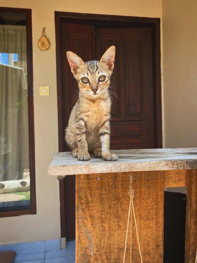 Jimador'S Homestay Gili Trawangan Buitenkant foto